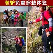 厂销新户外登山杖碳素超轻伸缩徒步手杖折叠杖，爬山老人拐杖登