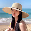 夏天太阳帽子女遮阳草帽休闲大檐沙滩，帽海边出游优雅可折叠防晒帽
