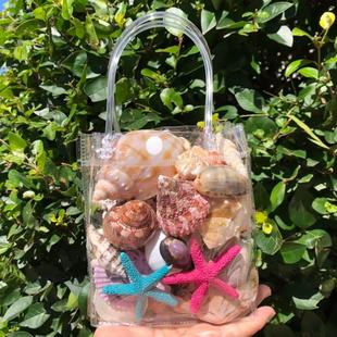 天然贝壳海螺壳摆件海星仿真珊瑚鱼缸水族箱地台造景儿童玩具礼物