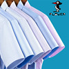 啄木鸟纯棉短袖衬衫，男修身免烫商务正装，中青年条纹半袖衬衣男工装