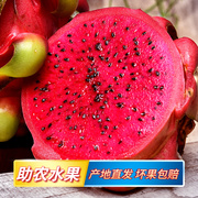 越南红心火龙果进口新鲜水果整箱当季时令热带水果大果