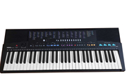 雅马哈psr310电子琴，61键盘考级，琴