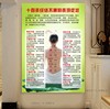 中医养生图片美容院海报宣传画广告针灸艾灸人体经络穴位图大挂图