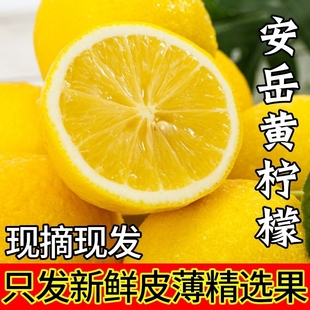 四川安岳黄柠檬(黄柠檬)奶，茶店专用新鲜水果，商用一级皮薄多汁整箱