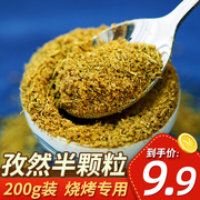 烧烤孜然粉200g装 烧烤调料 正宗新疆羊肉串撒料小吃油炸串腌料