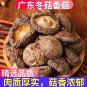 特级香菇干货500g广东农家新鲜野生椴木菌菇蘑菇花菇小冬菇新货
