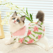 猫咪衣服夏天裙子宠物幼猫小猫，英短可爱渐层薄款布偶，猫夏季防掉毛