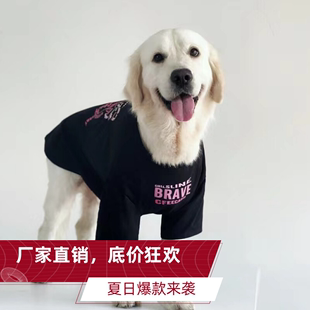 大狗衣服春夏薄款金毛犬英伦风宠物衣服拉布拉多萨摩耶大型犬衣服