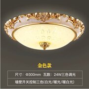 LED吸顶灯欧式圆形房间灯餐厅灯玄关阳台灯美式灯具北欧卧室