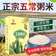 五常粥米稻花香大米新米胚芽米，营养碎米辅食东北大米煮粥谷物米粮