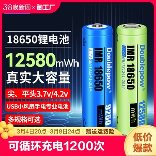 倍量18650锂电池3.7v手电筒4.2v小风扇电蚊拍充电器套装5号强光