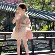 新中式2024夏季女童，碎花国风盘扣马甲洋气，网纱蓬蓬半裙两件套