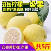 柠之恋 四川安岳柠檬黄柠檬新鲜水果一级果1250g