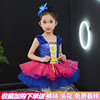 六一儿童演出服装亮片女童公主裙，蓬蓬纱裙爵士表演服幼儿园舞蹈服