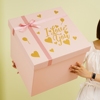 超大号情人节礼物盒空盒送女友仪式感粉色盒特大包装盒大箱子