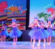 六一儿童演出服装星星舞蹈服女童公主裙蓝色，蓬蓬裙表演服纱裙