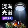 鱼缸灯海缸灯全光谱led防水三基色海水缸水草珊瑚专用造景夹灯