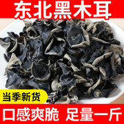 东北黑木耳干货500g优质小碗耳椴木秋耳凉拌商用薄木耳无根干木耳