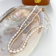 轻奢异形淡水珍珠项链女韩国高级感天然珍珠颈链锁骨链