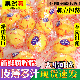 四川安岳黄柠檬5斤新鲜水果皮薄一级特产香水鲜甜柠檬青