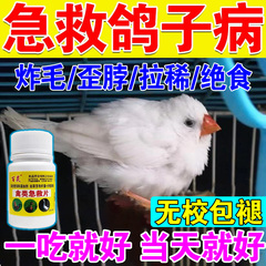 鸽子专用药万能药治流感发烧感冒咳嗽黄白血痢疾抗病毒特效预防药