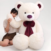 白色大熊泰迪熊熊猫毛绒，玩具公仔布娃娃，抱抱熊特大号玩偶女孩巨型