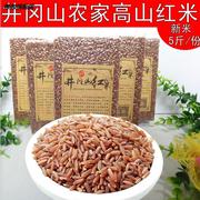 新米井冈山红米 农家红糙米5斤红大米粳米杂粮食血稻米红香米