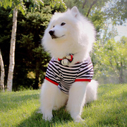 狗狗衣服萨摩耶衣服帅气拉布拉多金毛，夏季两脚衣中大型犬夏天薄款