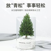 放青松桌面绿植装饰摆件办公室植物创意盆栽情绪稳定植物解压礼物