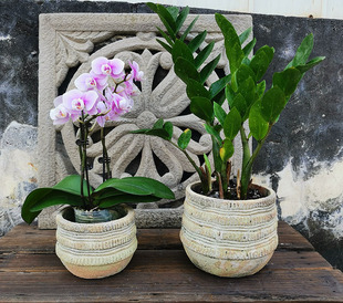 欧式风格陶艺花盆 粗陶青苔做旧清新陶盆  阳台花园绿植陶器