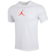 Nike耐克短袖男JORDAN篮球运动服透气休闲圆领T恤CW5191-100