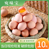 宛味宝土鸡蛋40枚*40g初生，蛋新鲜鸡蛋农家散养柴鸡蛋草鸡蛋