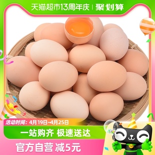 晨诚新鲜土鸡蛋正宗农家散养柴鸡蛋，自养笨鸡蛋，45g*50枚谷物草鸡蛋