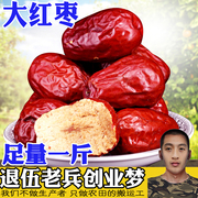 新疆红枣 大红枣 和田骏枣甜枣 新疆特产 红枣 年货 500g