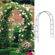 拱门花架爬藤架月季花架植物固定架风车茉莉蔷薇玫瑰落地园艺支架