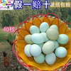 绿壳农家散养土鸡蛋乌鸡蛋新鲜正宗纯40枚五草鸡蛋笨本月子蛋