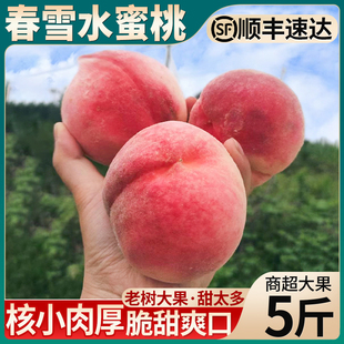 礼盒特大果春雪水蜜桃，5斤桃子新鲜水果甜脆毛应季孕妇油整箱9