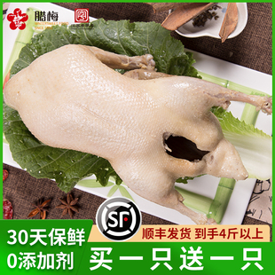 南京盐水鸭即食1.1kg卤味熟食盐水鸭腿，腊梅特产正宗老字号