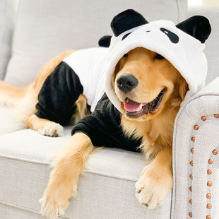 大狗狗衣服秋冬装金毛拉布拉，多边牧中型大型犬，冬季宠物熊猫变身装