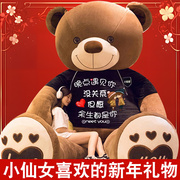 大熊毛绒玩具公仔布洋娃娃抱抱熊泰迪熊猫大号新年玩偶女生日礼物