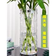 竹子种植盆特大号落地富贵竹花瓶，摆件玻璃透明水养水培直筒家用客