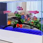 玻璃超白鱼缸靠墙屏风，隔断办公室免换水，大型生态客厅落地家用