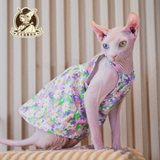 宠物猫猫连衣裙无毛猫斯芬克斯德文宠物猫衣服纯棉夏季吊带裙