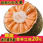 越南红肉菠萝蜜8-23斤一整个甜脆大果新鲜当季水果红心大树波罗蜜