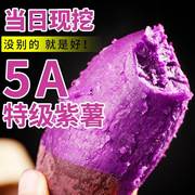 紫薯 新鲜板栗紫薯农家自种沙地红薯紫番薯蔬菜新鲜地瓜10斤