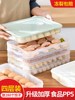 冰箱盒子冷冻盒鸡蛋收纳盒饺子食品级2021整理盒食物专用家用