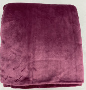 空调毯珊瑚绒毯子加厚法兰绒毛毯床单毛巾被午睡单人双人盖毯