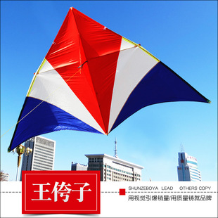 2024潍坊王侉子544软伞布碳杆微风大型成人好飞长尾风筝线轮