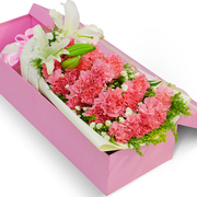 送长辈老人33只康乃馨礼盒武汉广州上海鲜花同城速递母亲生日送花