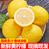 四川安岳黄柠檬(黄柠檬)尤力克，当季现摘新鲜水果商用榨汁小金桔整箱奶茶店